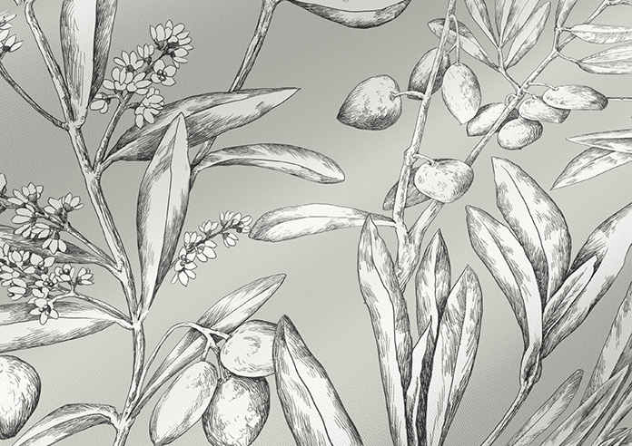 Aviary, Whisper - Roller Blind - Image 4
